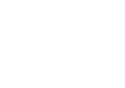 Sycon