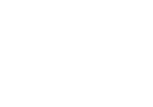 IPM Group